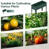 Spring Garden Bed for Fresh Starts