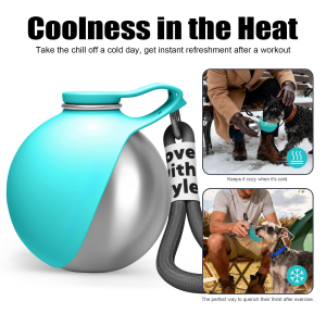 Stainless Steel Dog Water Bottle