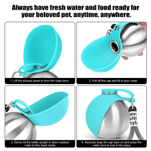 Stainless Steel Dog Water Bottle