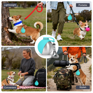 Stainless Steel Dog Water Bottle